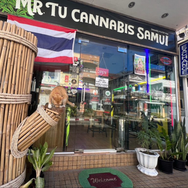 Mr.Tu Cannabis Samui 768x768