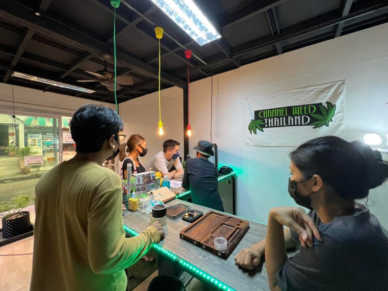 hideandhigh weed store 1 768x576