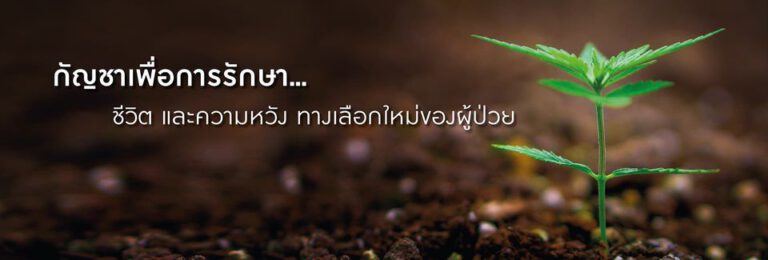 tha mai green herb 768x260
