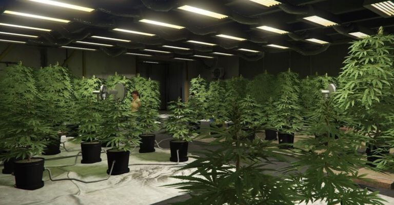weedzyfarm shop 768x400